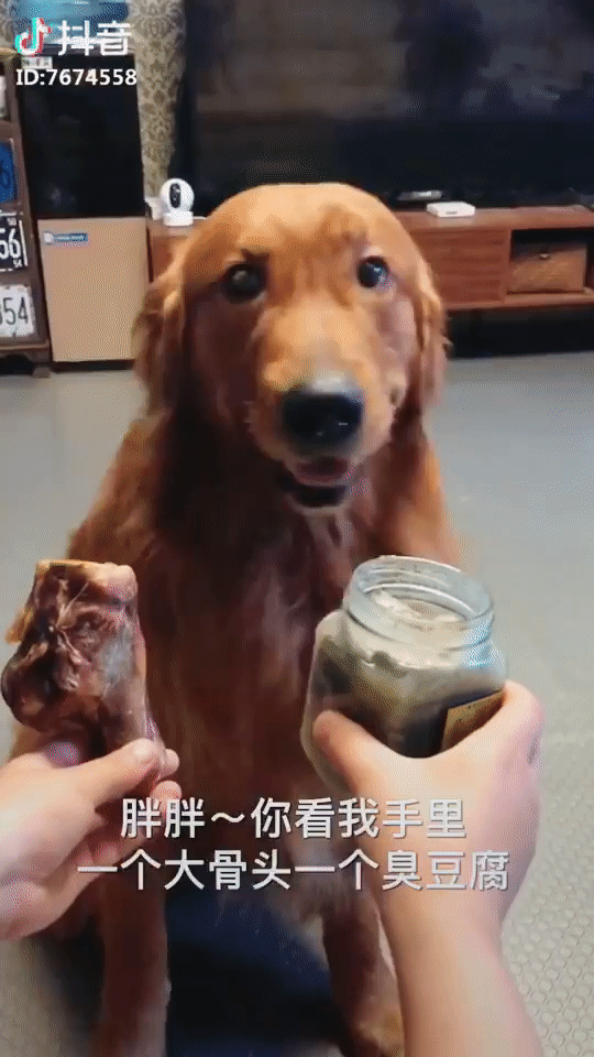 Cuộc đời luôn tồn tại 2 thể loại là đần và ngáo thế này đây! 2