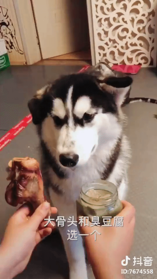 Cuộc đời luôn tồn tại 2 thể loại là đần và ngáo thế này đây! 3