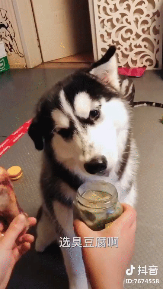 Cuộc đời luôn tồn tại 2 thể loại là đần và ngáo thế này đây! 4