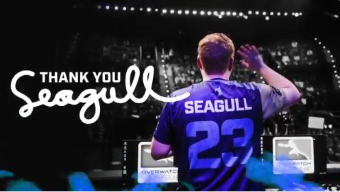 Overwatch: Seagull chính thức giải nghệ và chuyển sang nghiệp Streamer