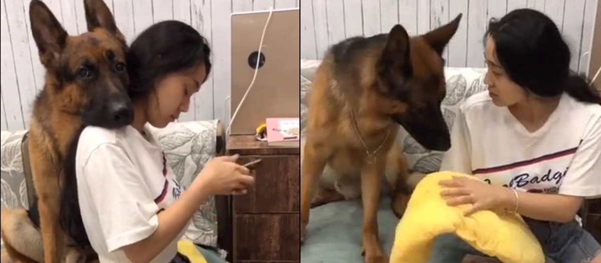 Người yêu có thể không có, nhưng "boss" biết bảo vệ "sen" thế này thì nhất định phải có một em