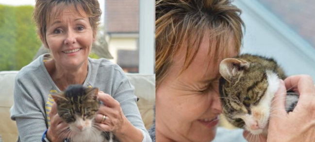 13 năm mất tích và đi lạc tận 64 km, chú mèo đã tìm lại chủ cũ theo cách thần kỳ như thế này đây