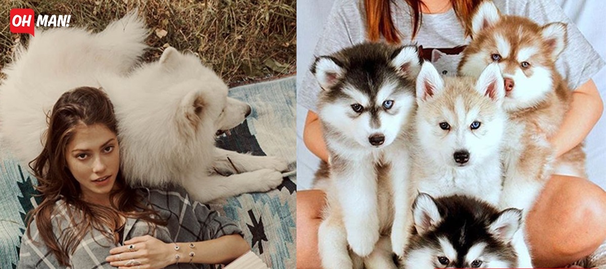 Chọn ra chú chó cưng đáng yêu nhất cho 12 cung hoàng đạo