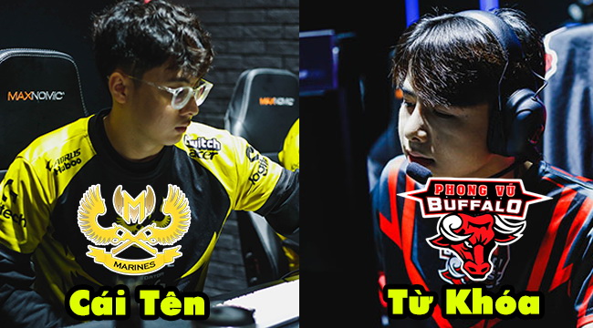 LMHT: Fan theo phong trào "đổi gió" từ GAM qua PVB bị cộng đồng ném đá đủ xây nhà