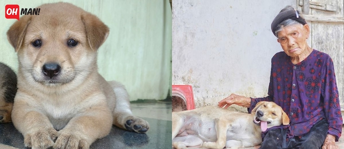 Màn “dậy thì kém thành công” gây bão CĐM: Lúc bé đáng yêu lớn thì nham nhở nhưng ngoại vẫn thương