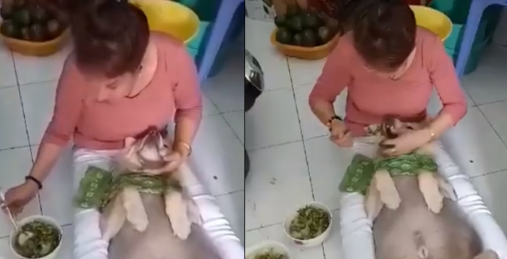 "Chết cười" với hình ảnh "boss lười chảy thây", thà nhịn đói còn hơn ăn cơm mà không có người đút