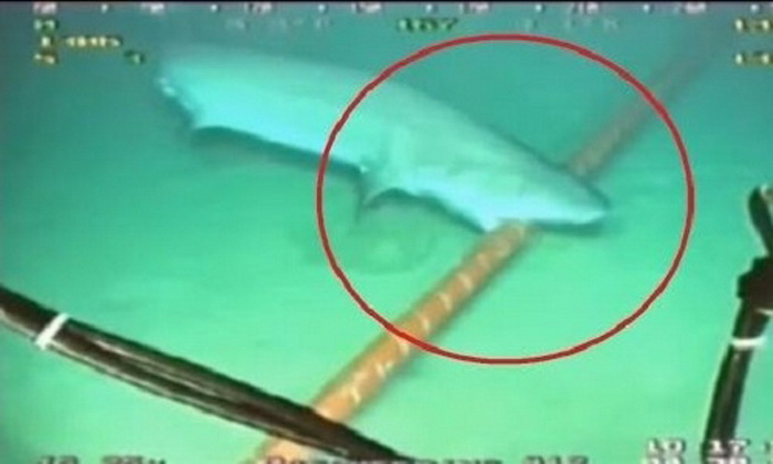 Bún cáp biển AAG tiếp tục căng thòng, game thủ tuyến quốc tế tiếp tục nghỉ xả hơi ngắn hạn