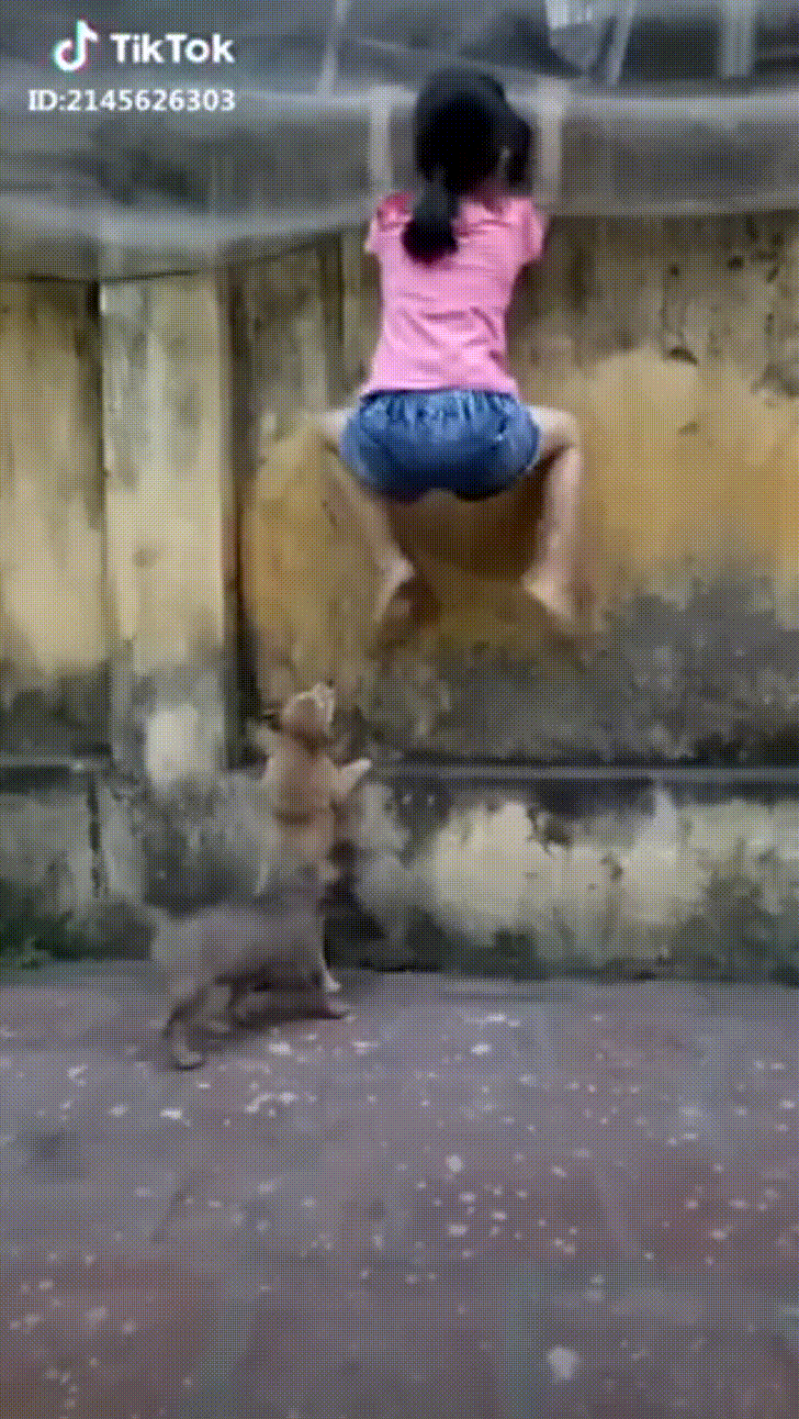 CĐM cười sảng vì màn đấu khẩu độc thoại của boss dọa cho sen sợ chết khiếp