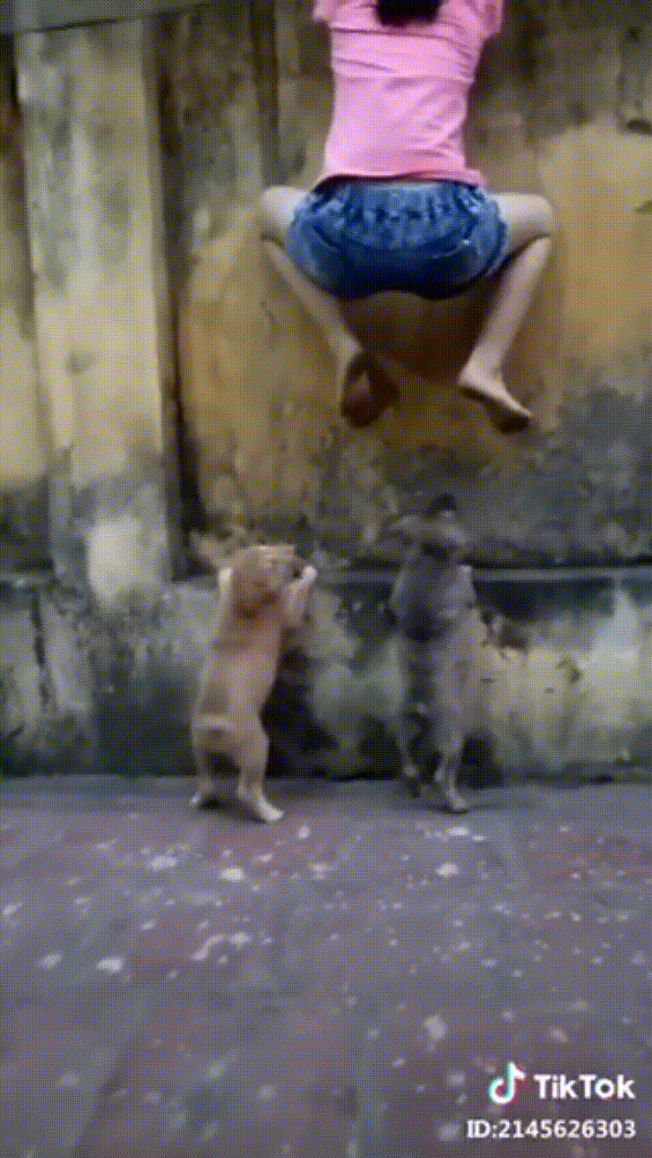 CĐM cười sảng vì màn đấu khẩu độc thoại của boss dọa cho sen sợ chết khiếp 3