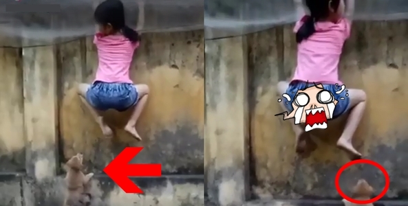 CĐM "cười sảng" vì màn đấu khẩu độc thoại của boss dọa cho sen sợ chết khiếp