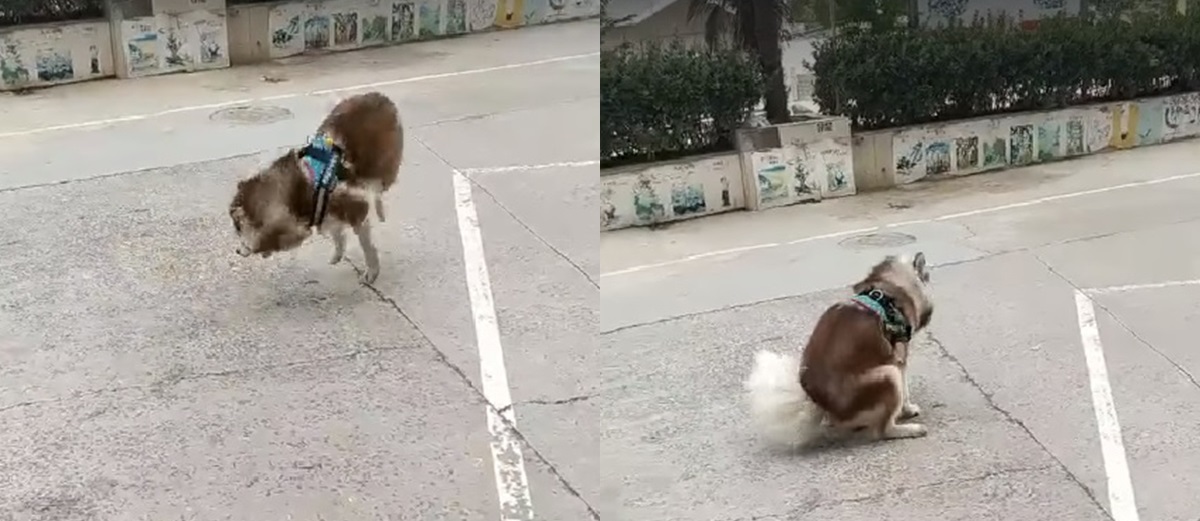 Ngỡ vận động viên điền kinh khởi động ai ngờ sự thật lại "bốc mùi" tới thế