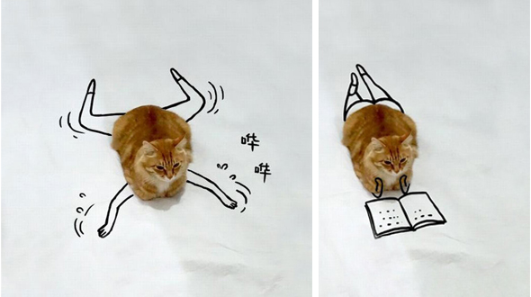 Chết cười với ảnh chế chú mèo của dân mạng