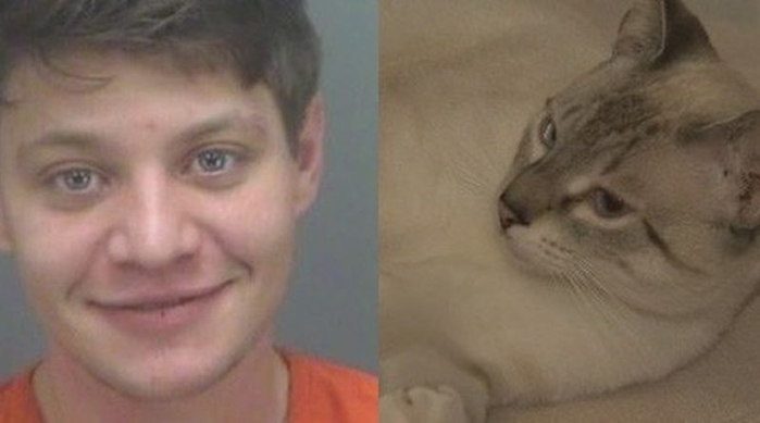 Khi đại boss quá hấp dẫn , trộm đột nhập vào nhà nhưng không thèm màng đến "chính sự"?