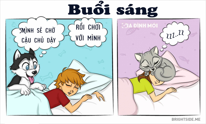 Những điểm khác nhau siêu hài hước giữa boss và hoàng thượng, bạn có biết?