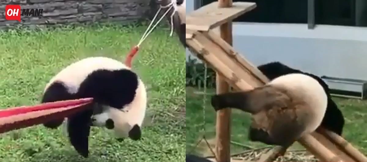 Đã cố gắng ăn chay để giảm xui mà sao đời cứ dập em tan nát thế này?