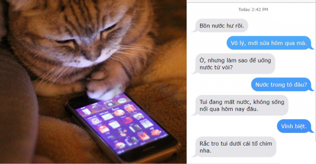 Nếu loài mèo biết nhắn tin thì đây sẽ là loạt yêu sách các ‘ông trời con’ dùng để hành hạ bạn mỗi ngày