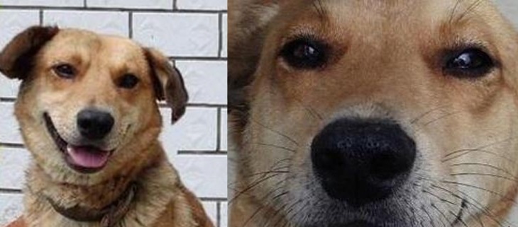 Cảm thấy không khỏe trong người, boss nay cũng đã tự đi khám bệnh!