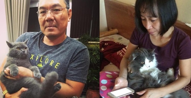 Nhà có thêm boss, ‘sen’ từ con đẻ bỗng thành… con ghẻ