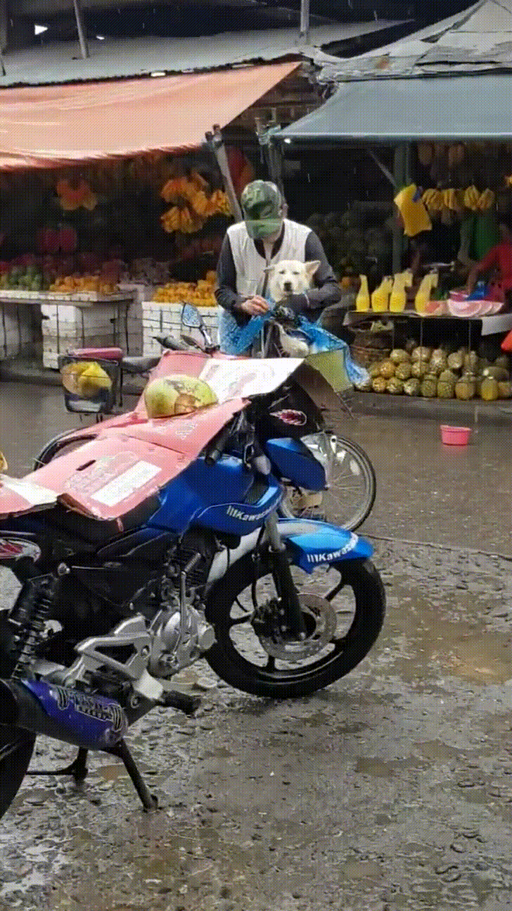 Hình ảnh người cha cẩn thận choàng áo mưa cho con trai khiến CĐM nghẹn ngào xúc động  2