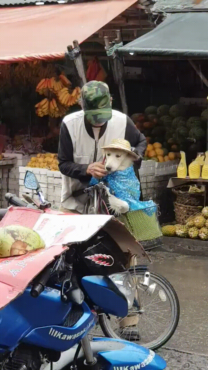 Hình ảnh người cha cẩn thận choàng áo mưa cho con trai khiến CĐM nghẹn ngào xúc động  3