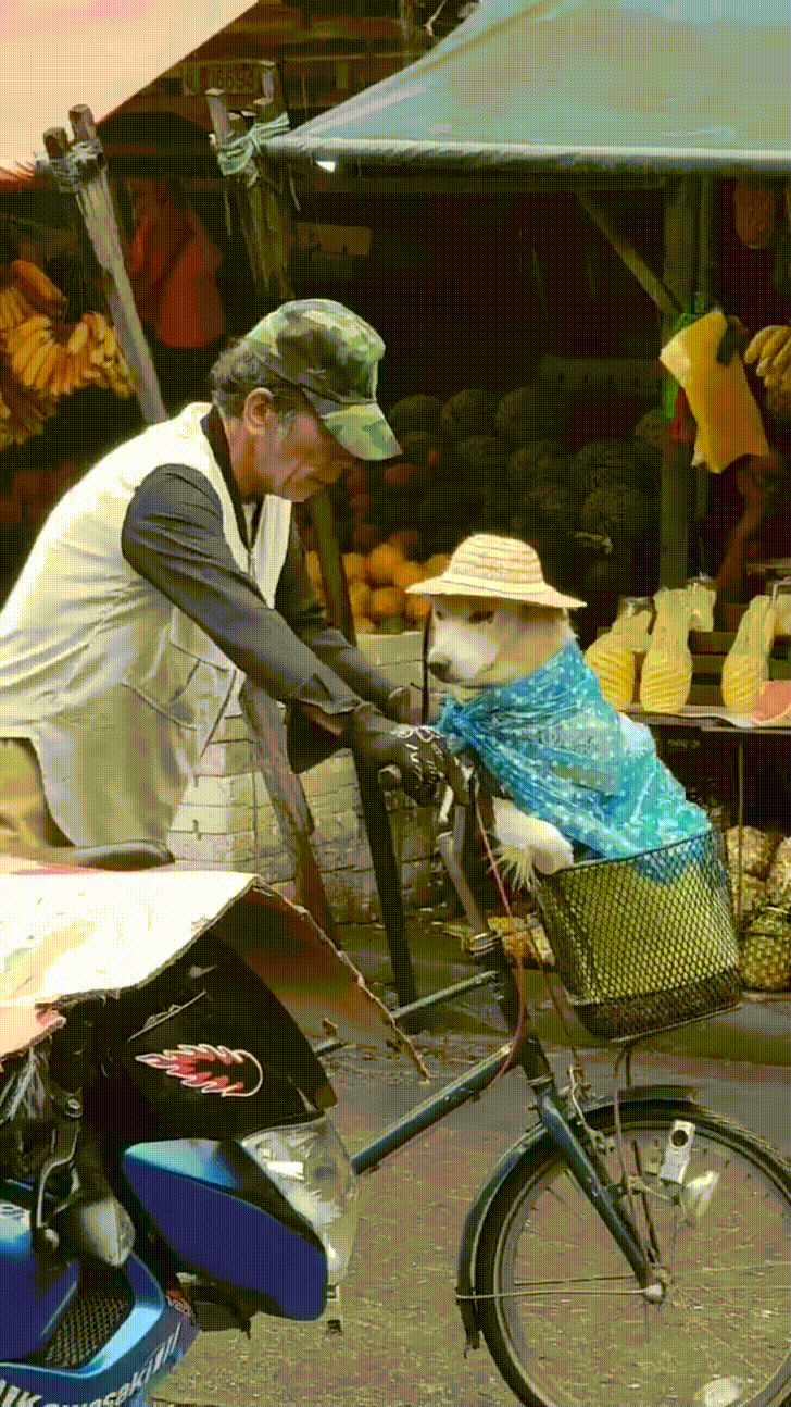 Hình ảnh người cha cẩn thận choàng áo mưa cho con trai khiến CĐM nghẹn ngào xúc động  4