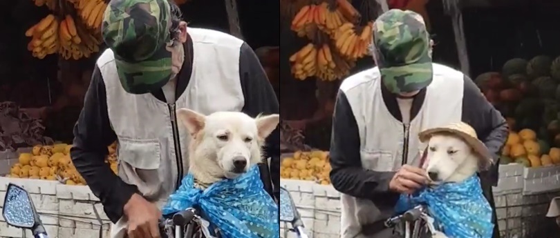 Hình ảnh người cha cẩn thận choàng áo mưa cho "con trai" khiến CĐM "nghẹn ngào xúc động"