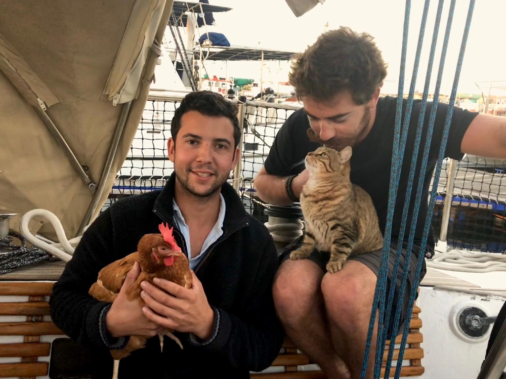 "Gấu" là xưa rồi, bây giờ phải là cùng gà đi... du lịch vòng quanh thế giới!