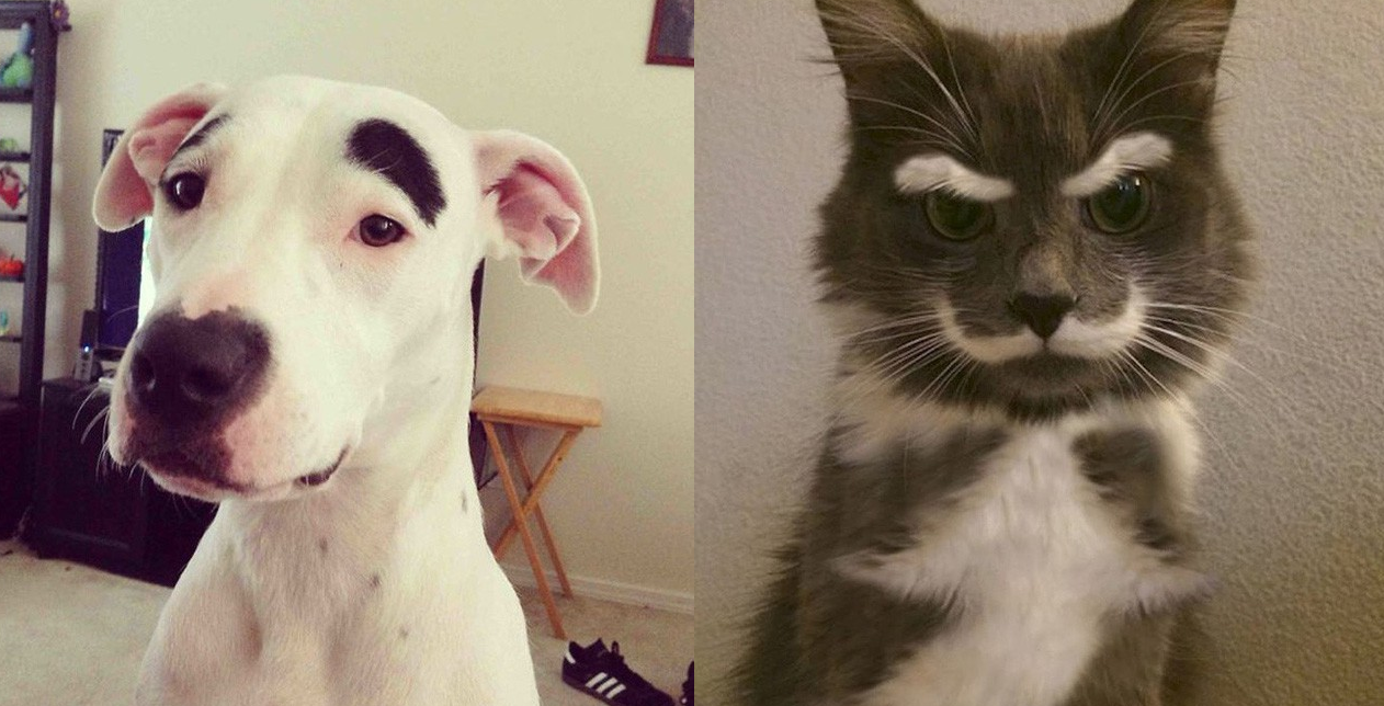 Bộ dạng của 10 con boss này chính là minh chứng cho câu “Tạo hóa là một trò đùa!”