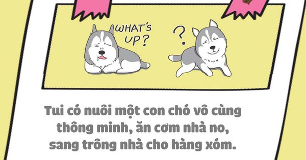Nuôi thú cưng thì vui nhưng vớ phải một em bị "ngố tàu" thì dở khóc dở cười đấy
