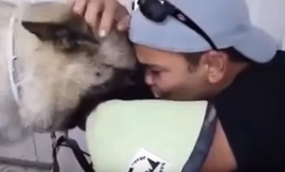 Rơi nước mắt trước khoảnh khắc tạm biệt nhau giữa chủ và chú chó bị ung thư