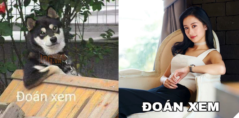 Tổng hợp bộ ảnh Meme "Đoán Xem" gây bão cộng đồng mạng gần đây