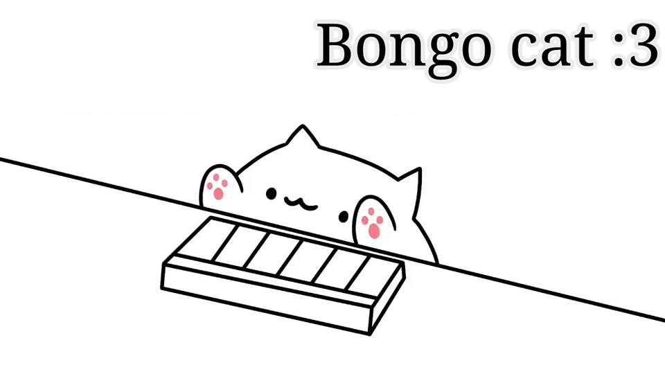 Tổng hợp các clip Bongo Cat meme hay nhất mà bạn sẽ muốn xem đấy