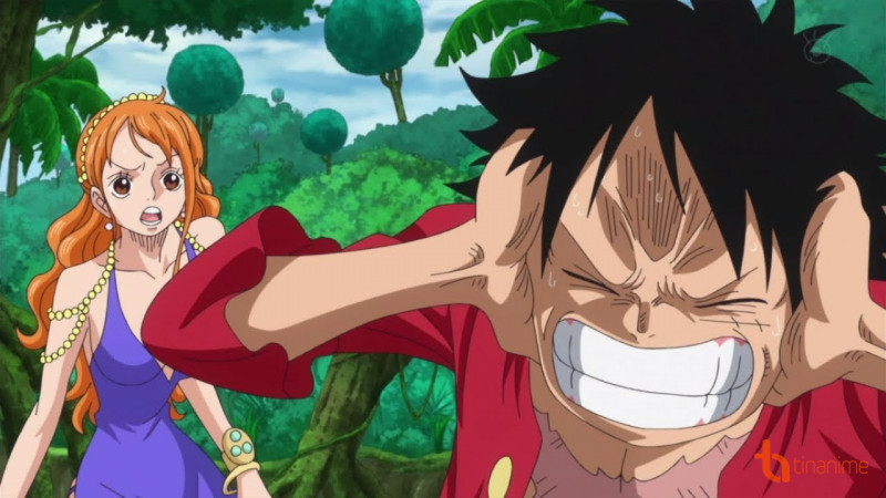 TOP 5 NHÂN VẬT ONE PIECE CÓ KHẢ NĂNG NGHE ĐƯỢC TIẾNG NÓI CỦA VẠN VẬT"!