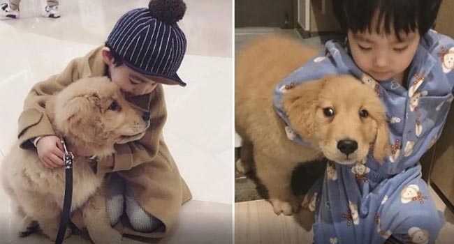 Gặp gỡ tình bạn “vàng” của cậu bé Hàn Quốc và thú cưng của mình