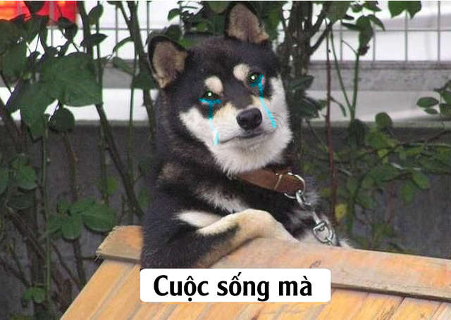 Hàng ngàn kiểu lừa tồn tại nhan nhản trong thế giới game mà ai cũng bị 1 lần !