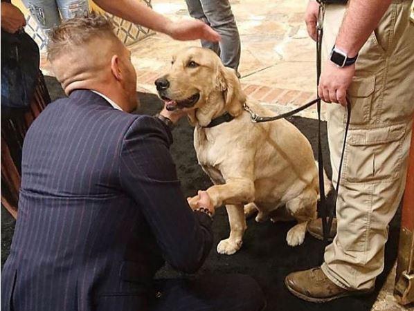 Góc đáng yêu: Tom Hardy cười tít mắt, tranh thủ cưng nựng chú chó cảnh vệ tại buổi họp báo ‘Venom’