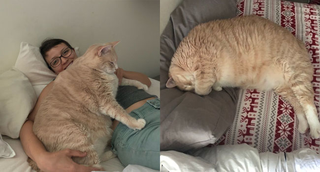 Vẻ đẹp ‘nghiêng nước nghiêng thành’ của vị ‘quàng thượng’ mũm mĩm ‘đốn tim’ CĐM