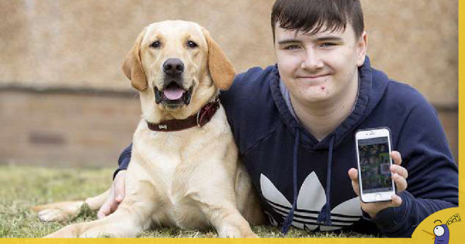 Bị phàn nàn vì đăng hình chó nhiều trên Facebook, cậu bé chuyển sang dùng Instagram và kiếm gần 15 triệu/tháng