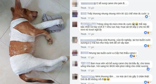 Boss hậu đậu của năm, chỉ đi toilet gãy mất 3 cái chân, CĐM vừa thương vừa buồn cười