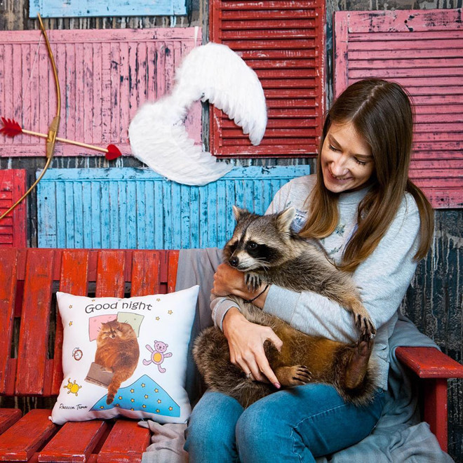 Chú gấu mèo Nga béo ú giúp chủ kiếm bộn tiền vì quá đáng yêu