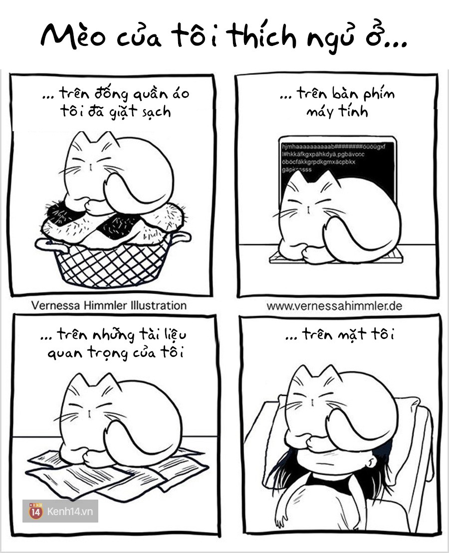 Bộ tranh: Dân nuôi mèo vào hết đây nhìn xem có thấy mình trong 1001 rắc rối này không nào!