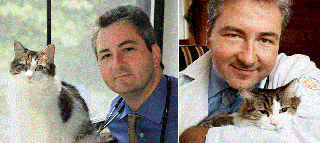 catster oscar the cat with david