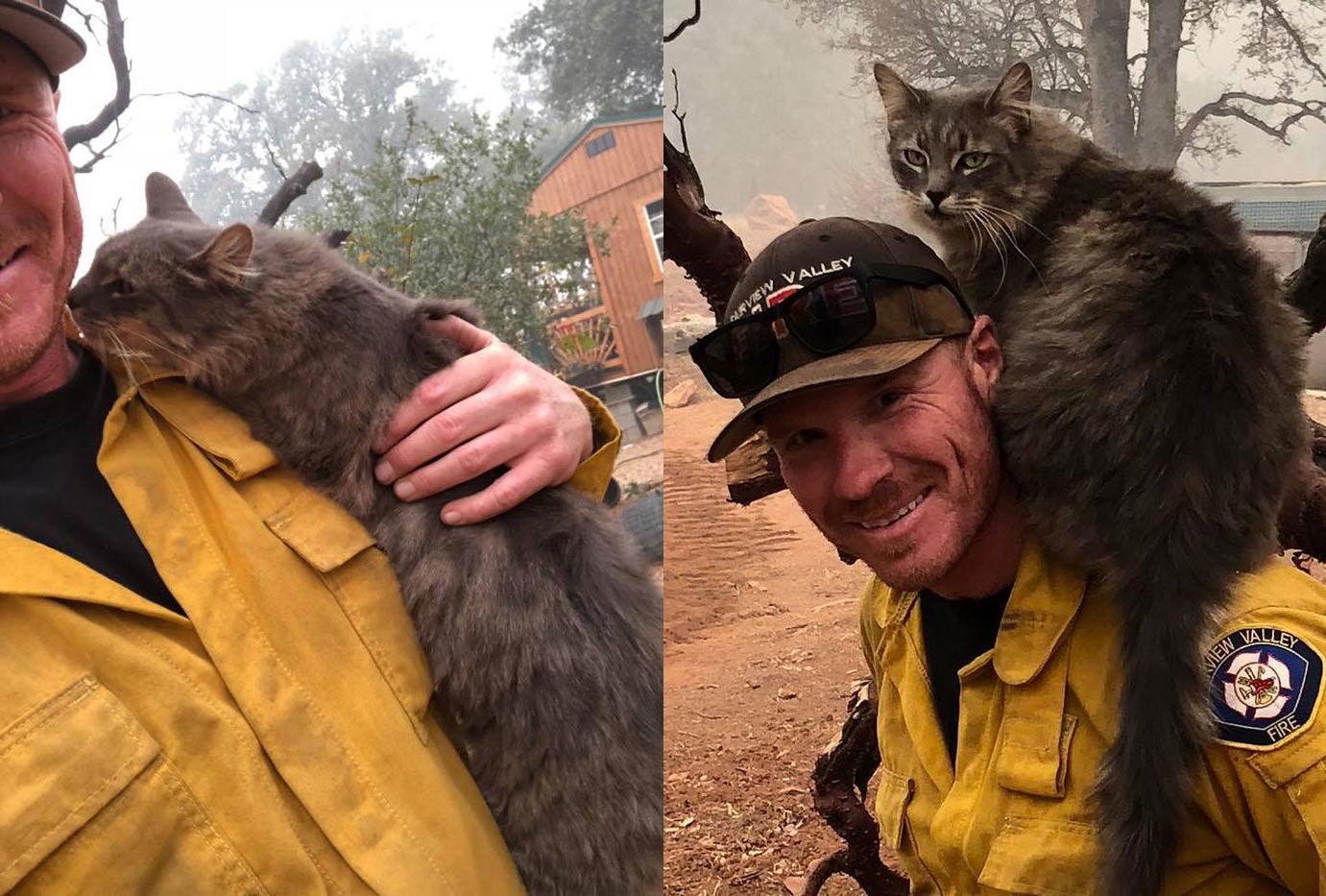 Ấm lòng trước hành động của chú mèo khi được lính cứu hỏa cứu khỏi đám cháy tại California