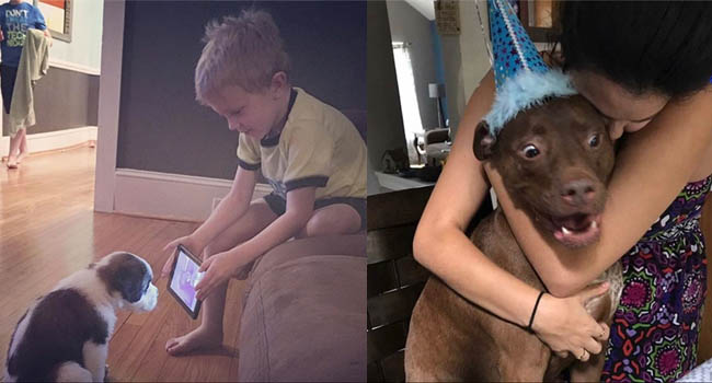 Boss cứ dễ thương và tình cảm như thế này, thì chả trách Sen cứ yêu hoài!