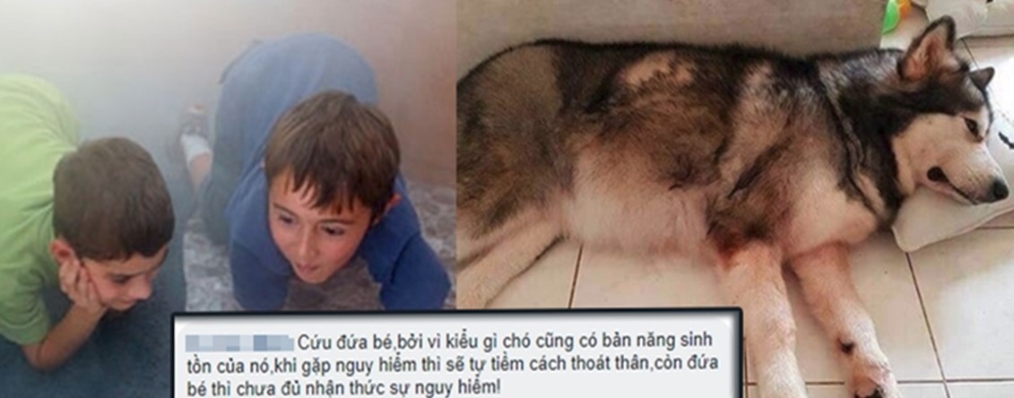 Câu hỏi khiến CĐM tranh cãi gay gắt: Nên cứu chó cưng hay đứa bé vô tình đốt nhà bạn?