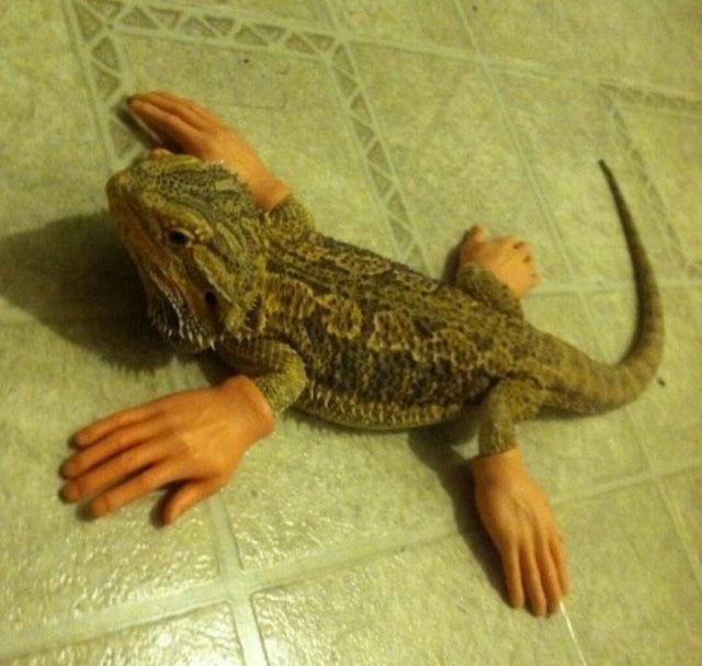 Những hình ảnh cực kì phi logic nhưng vẫn hiện hữu hằng ngày, nhìn vào là hoa mắt ngay