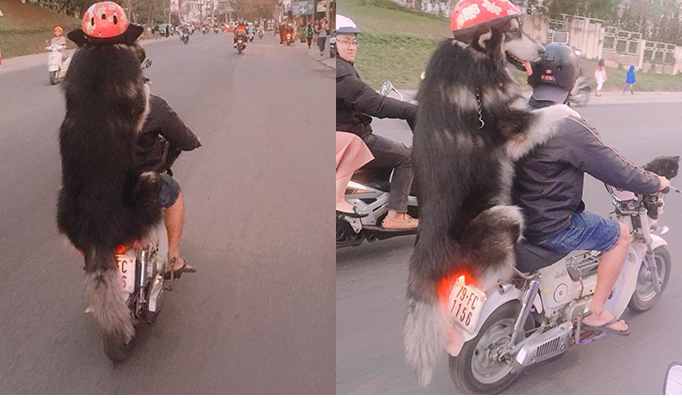 Nam thanh niên đi cup sau đèo “Đại tướng” trước đèo “Hoàng Thượng” tại Đà Lạt gây náo loạn góc đường phố