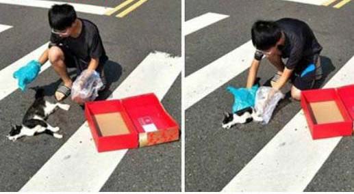 Hành động nhỏ của cậu bé với chú mèo đã chết khiến người đi đường không khỏi khâm phục và tôn trọng