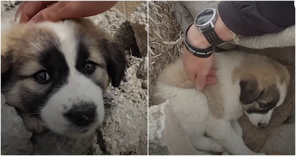 Gặp nhau nơi chiến trận điêu tàn, điều gì làm sen và boss quyết ở cùng nhau mãi mãi?