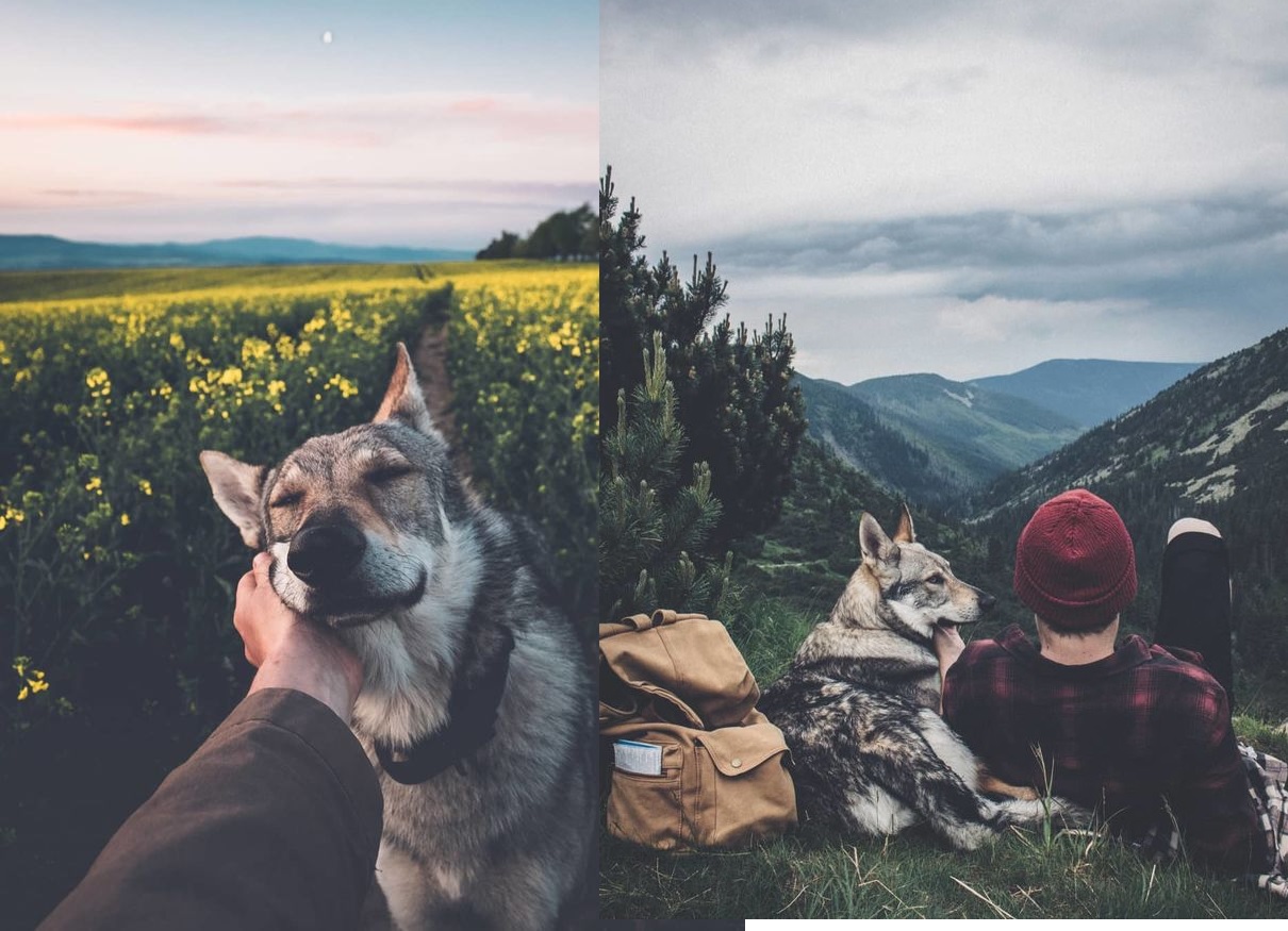 Bộ ảnh: Có Đại Boss theo mọi bước chân thế này, du lịch 1 mình còn gì đáng sợ nữa đâu!